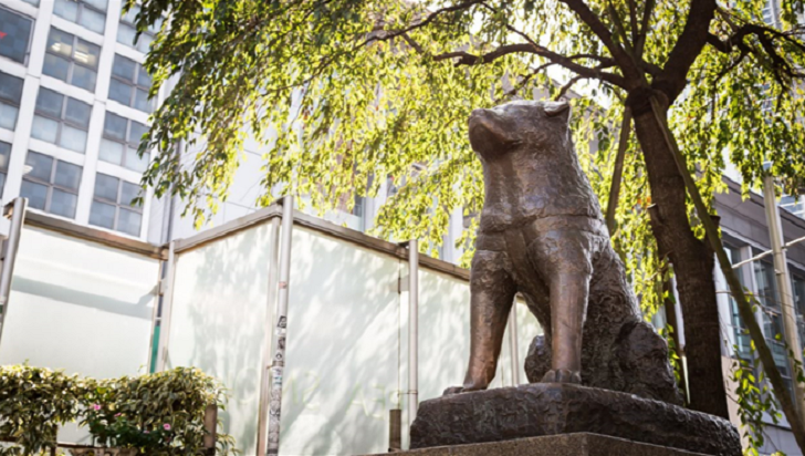 Hachiko Statue in Shibuya Tokyo