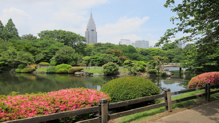 Shinjuku Gyoen Japanese Garden Tokyo