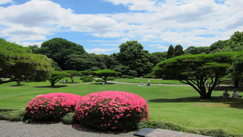 Shinjuku Gyoen National Garden Tokyo