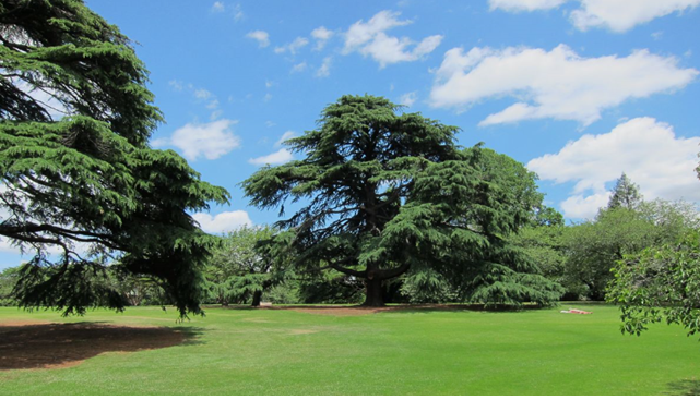 Shinjuku Gyoen UK Garden Tokyo