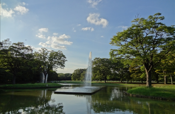 Yoyogi park pond