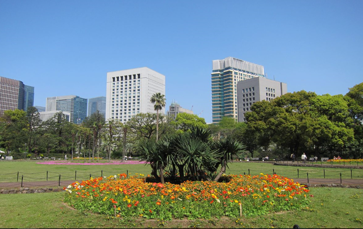 Hibiya Park Flowers