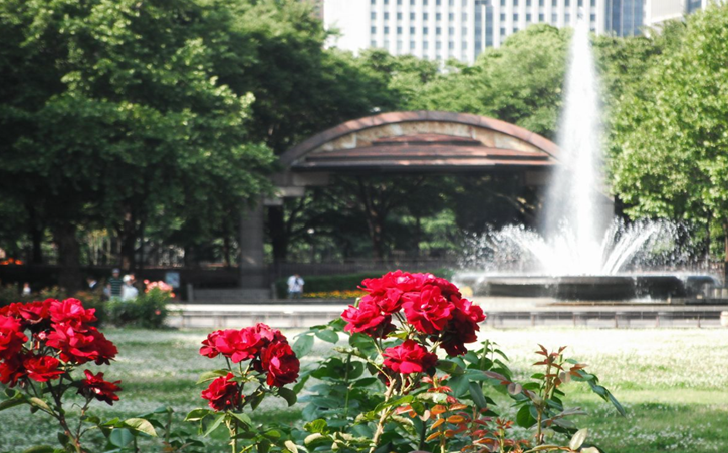 Hibiya Park Fountain with Rose