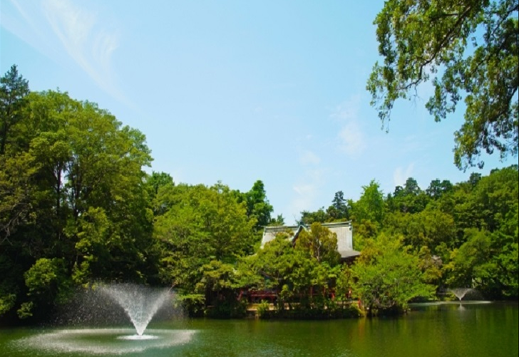 Inokashira Park