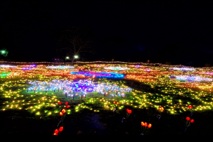 Syowa Memorial Park Tokyo Light at night