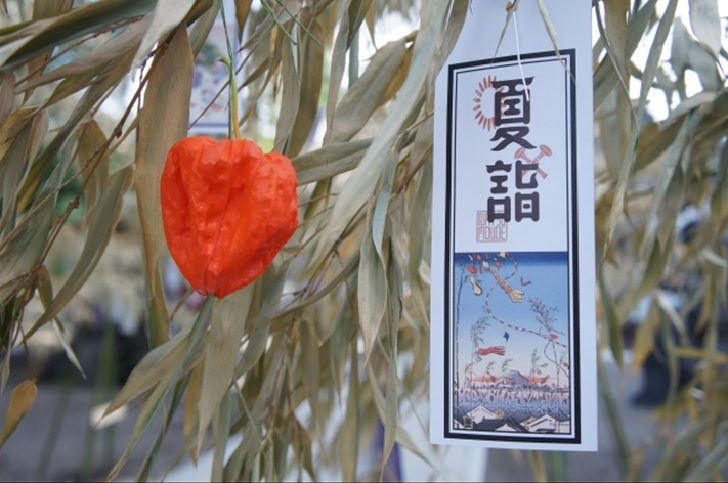 TOKYO Asakusa Shrine Summer