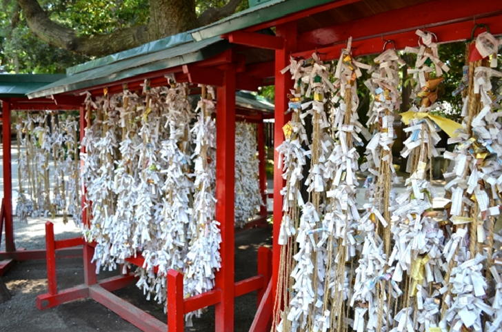 TOKYO TRAVEL Omikuji tied up