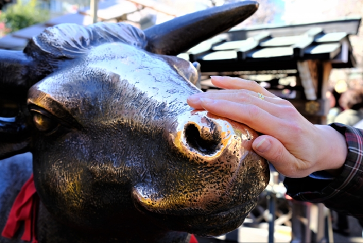 TOKYO Ushima Tenjin Shrine Cow