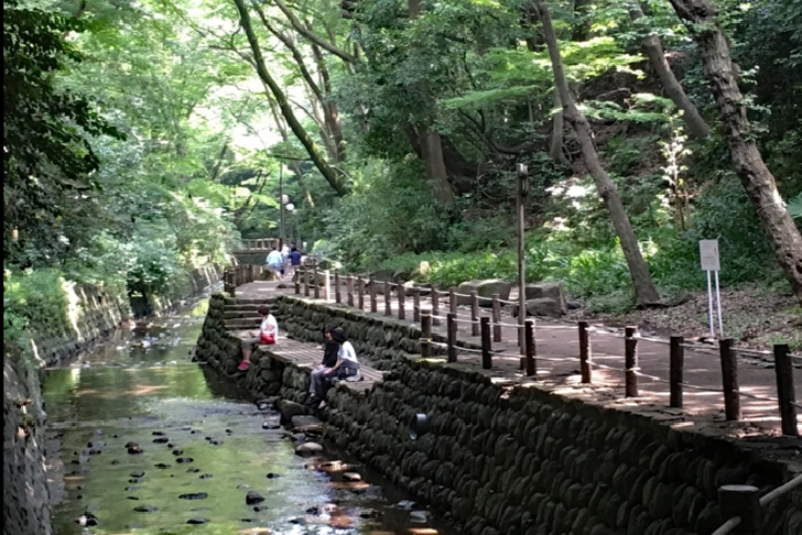 Todoroki Keikoku ravine Tokyo relaxting people