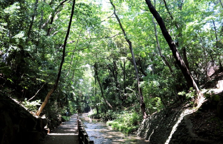 Todoroki Keikoku ravine Tokyo