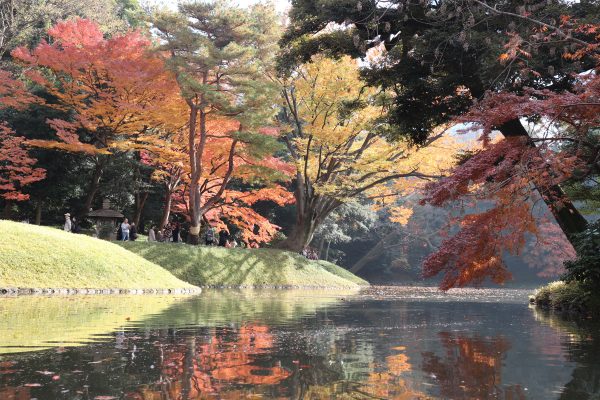 TOKYO Koishikawa Korakuen Gardens