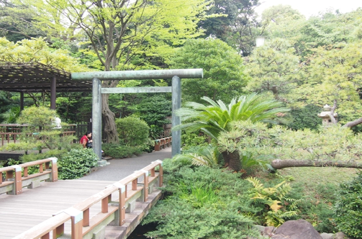 TOKYO Togo Shrine Garden