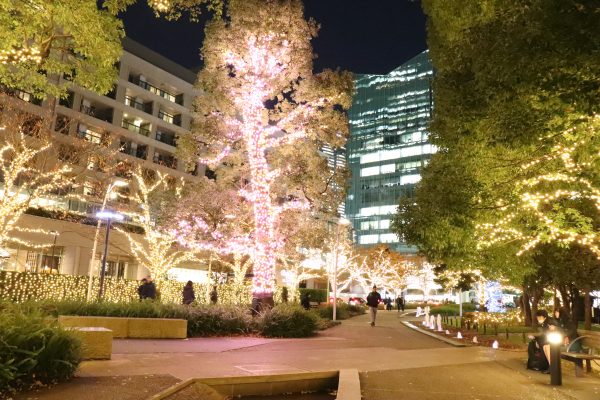 Tokyo Midtown Miracle tree