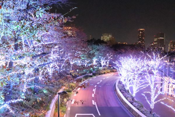 Tokyo Midtown Star Ride Road