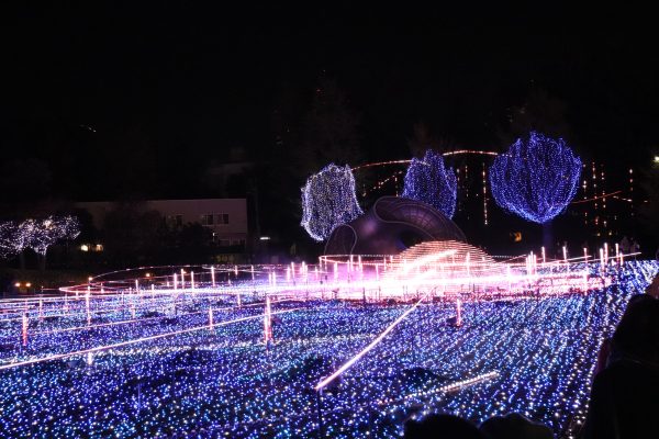 Tokyo Midtown Starlight Garden Red 2017