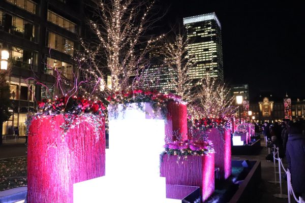 TOKYO Christmas light Tokyo Station Fower box