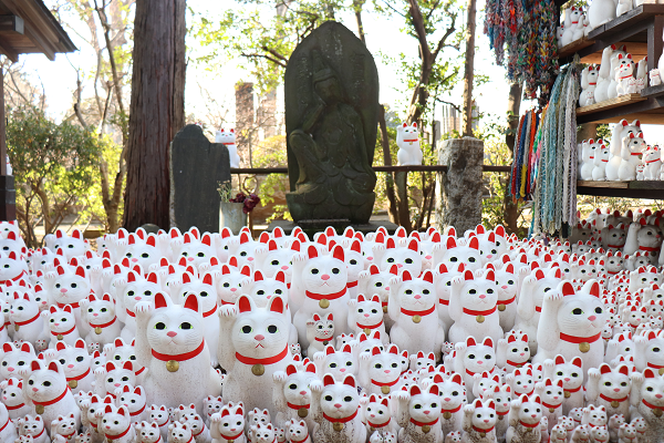 Gotokuji temple Maneki Neko around statue of Buddha