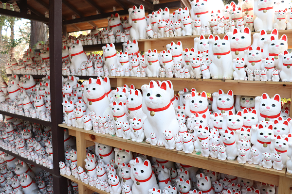 Gotokuji temple Maneki Neko zoom