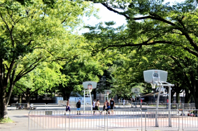 Yoyogi Park Basketball