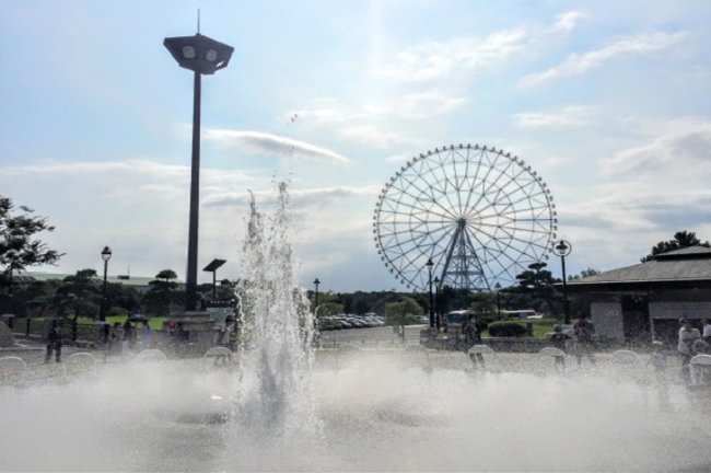 Kasai Rinkai Park Tokyo Ferris Wheel