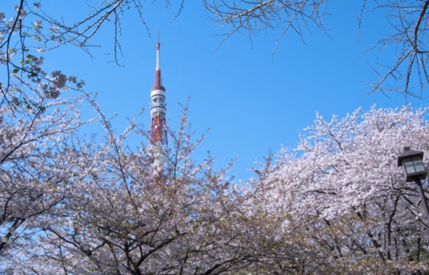 TOKYO Shiba Park in Japan