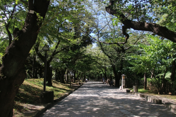 TOKYO Asukayama Park in Japan