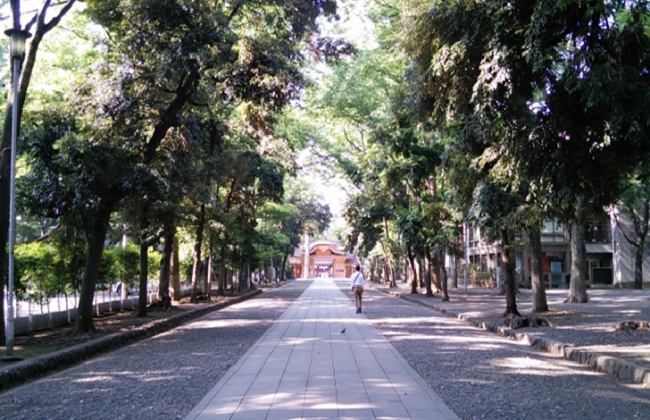 TOKYO Okunitama Shrine