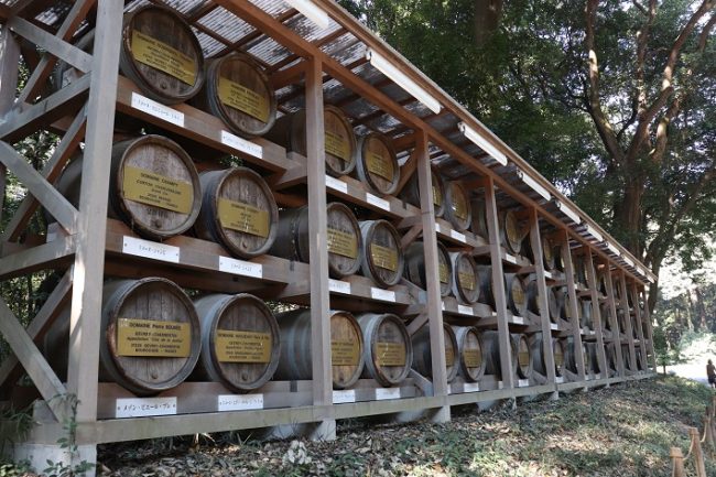 Meiji Jingu Shrine wine barrels