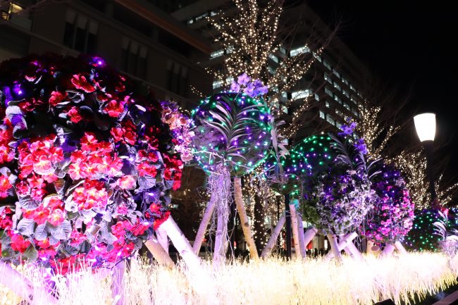 TOKYO Christmas light Tokyo Station Flowers