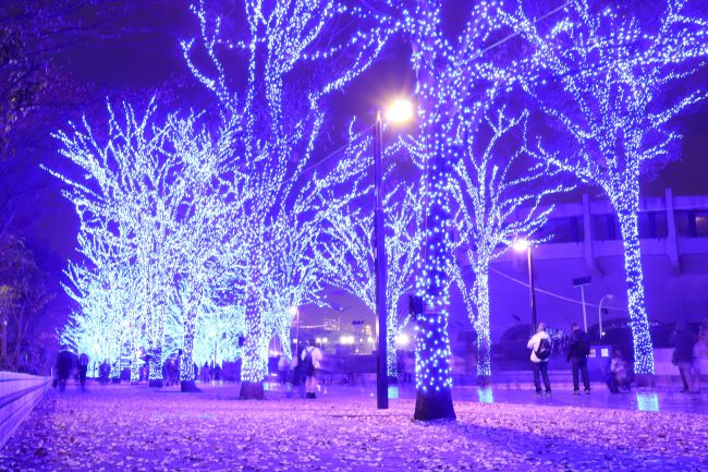 Tokyo Blue Grotto Christmas lights in Shibuya Japan from side